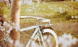 12月总有惊喜出现的五大星座