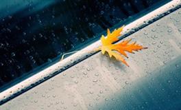 12星座失恋后谁的变化最大