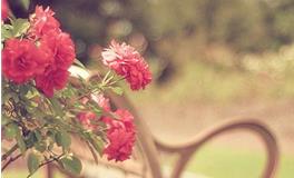 水则堂2017年12月12日生肖运势