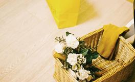 12星座物质安全感排名