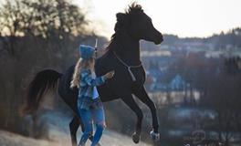 春节前你还会有额外收入吗？