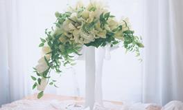 12星座早婚几率排行榜