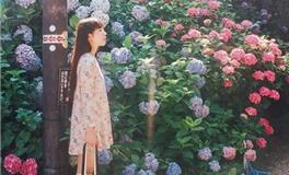 李云天一周生肖猴运势（12.25-12.31）