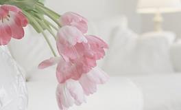 浮图塔一周生肖牛运势(12.25-12.31）