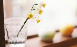 浮图塔一周生肖狗运势(12.25-12.31）