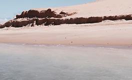 紫微14主星一周运势（1.1-1.7）