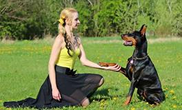 李云天一周生肖狗运势（1.1-1.7）