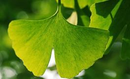 佩妮2018年十二星座运势