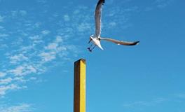 李云天一周生肖鼠运势（1.8-1.14）