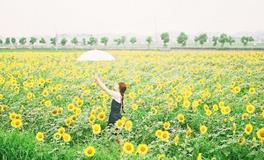 李云天一周生肖猪运势（1.8-1.14）