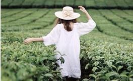 泓翔2018年1月生肖鸡人际关系运势