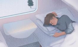 狐狸小昭2018年生肖猪运势