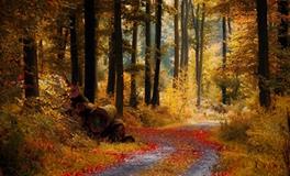 摩羯座最无法接受的打击