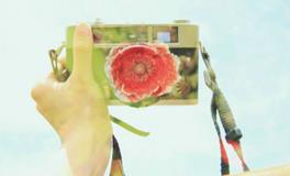 奥斯卡2018年十二星座运势