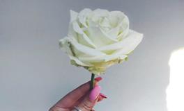 YAO叔双鱼座一周运势（1.22-1.28）