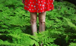 苏珊米勒今日运势2018年1月25日