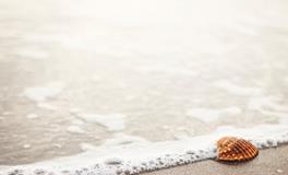 成年人改名，这些事情需注意