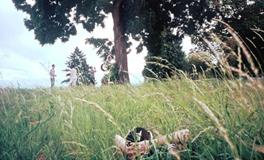 柒爸射手座一周运势（1.29-2.4）