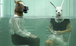 柒爸狮子座一周运势（2.5-2.11）