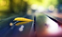 太阳vs上升：你的星座和星座之间也是有区别的