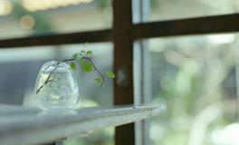 春节过后，哪些星座适合换工作？