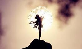 看见别人比自己强，一定奋起直追的星座