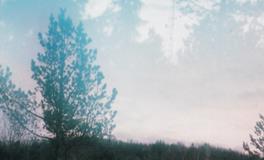 寂多蔓生2018年3月水瓶座运势