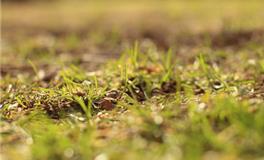 测试：春分后，你将免除什么烦恼？