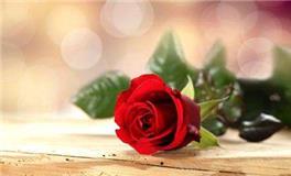 苏珊米勒今日运势2018年3月25日