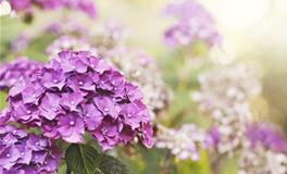 12星座如果当后妈，谁最可怕