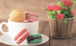 虽有城府,却无害人之心的星座