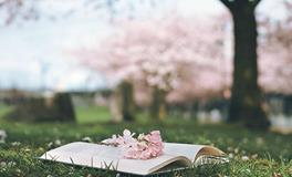 看漫画测你的责任感