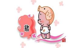 属猪的守护神，生肖猪守护神