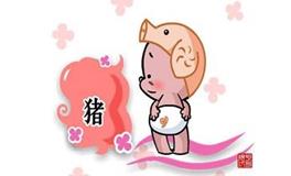 关于猪的歇后语，生肖猪歇后语