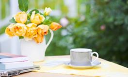 职业不同，办公室的植物摆放风水也不同