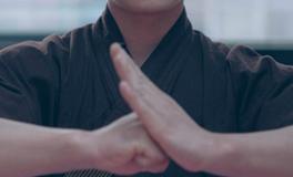 中国武术抱拳礼