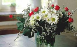 苏珊米勒:今日运势2018年5月6日