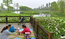 未来你会安居乐业还是漂浮不定？