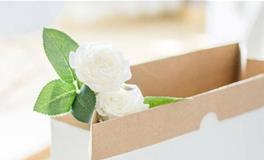 浮图塔:生肖狗一周运势（5.14-5.20）