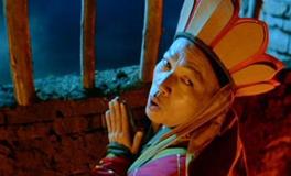 十二生肖中，最佛系的四大生肖