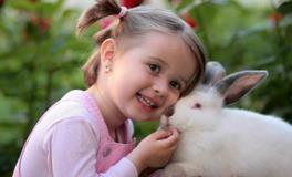 属牛的几月出生最好命？