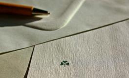 生肖虎的幸运数字是什么？