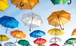 生肖属兔吉祥物是什么？