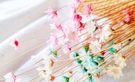 李云天生肖牛2018年6月运程