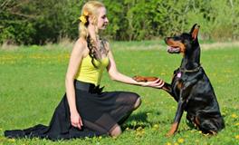 梦见狗咬脚是什么意思