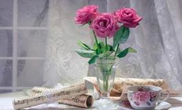 洁安2018年6月份生命灵数运势