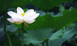 名字应忌怪癖取高雅