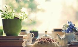 苏珊米勒今日运势2018年5月29日