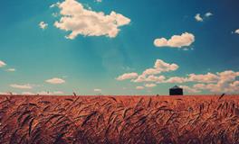 梦见蓝天白云是什么意思