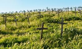 做梦梦到坟墓是什么意思